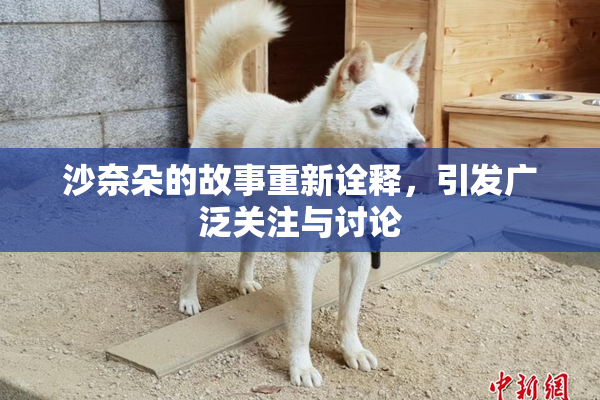 沙奈朵的故事重新诠释，引发广泛关注与讨论