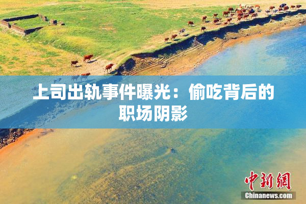 上司出轨事件曝光：偷吃背后的职场阴影