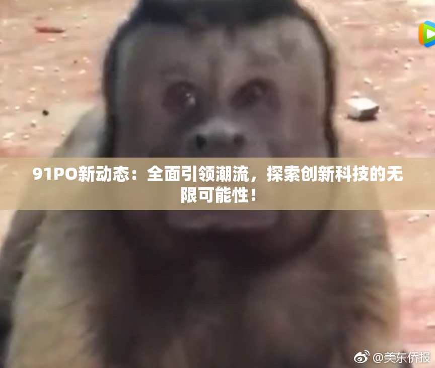91PO新动态：全面引领潮流，探索创新科技的无限可能性！