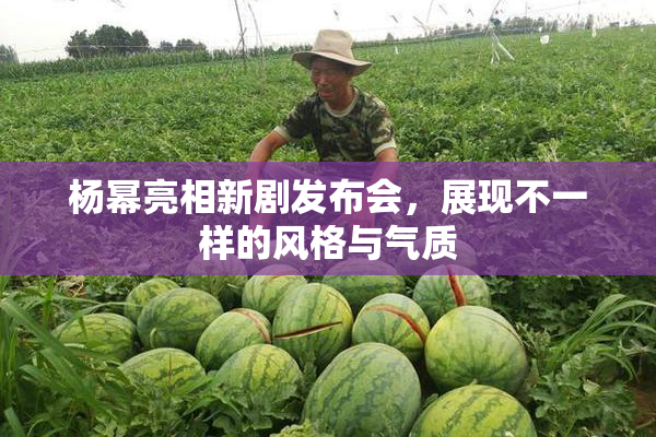 杨幂亮相新剧发布会，展现不一样的风格与气质