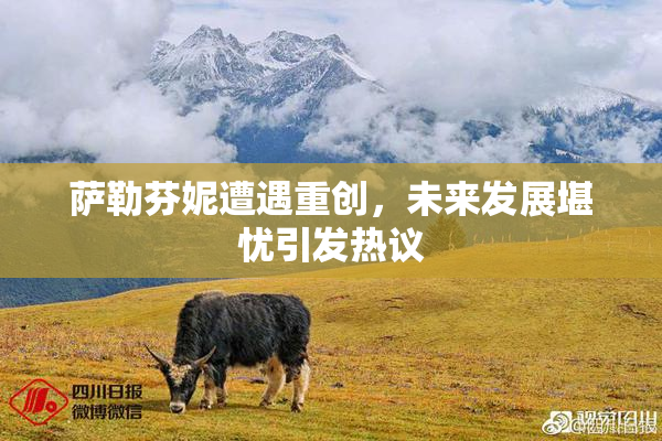 萨勒芬妮遭遇重创，未来发展堪忧引发热议