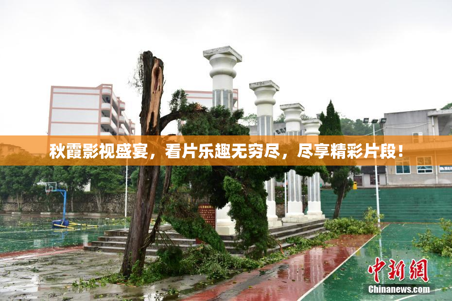 秋霞影视盛宴，看片乐趣无穷尽，尽享精彩片段！