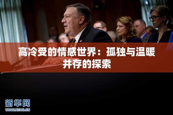 高冷受的情感世界：孤独与温暖并存的探索