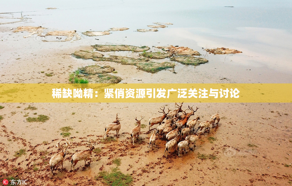 稀缺呦精：紧俏资源引发广泛关注与讨论