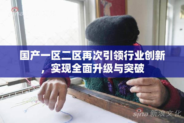 国产一区二区再次引领行业创新，实现全面升级与突破