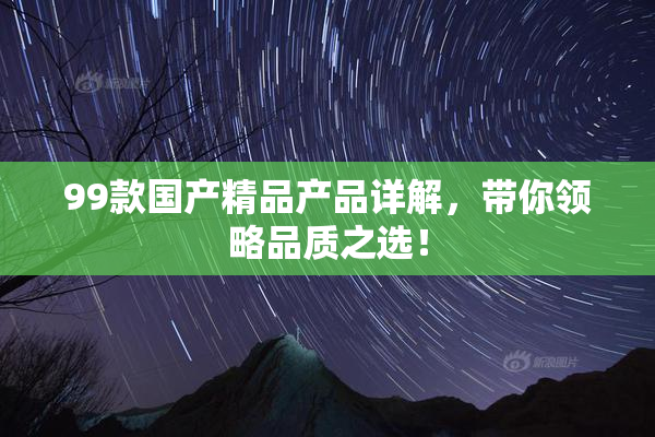 99款国产精品产品详解，带你领略品质之选！