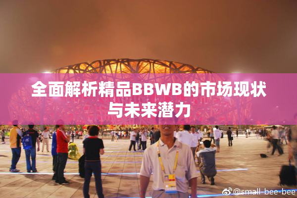 全面解析精品BBWB的市场现状与未来潜力