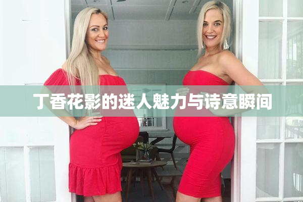 丁香花影的迷人魅力与诗意瞬间