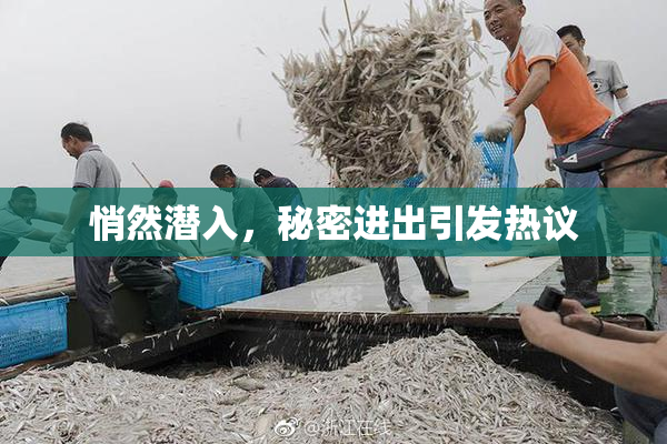 悄然潜入，秘密进出引发热议