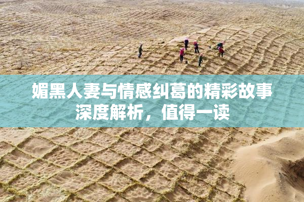 媚黑人妻与情感纠葛的精彩故事深度解析，值得一读