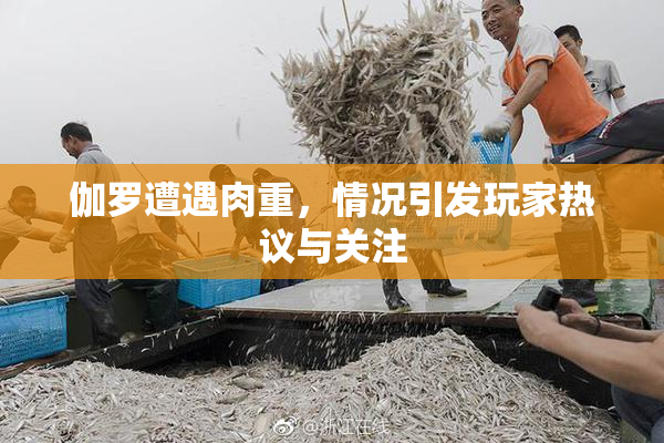 伽罗遭遇肉重，情况引发玩家热议与关注