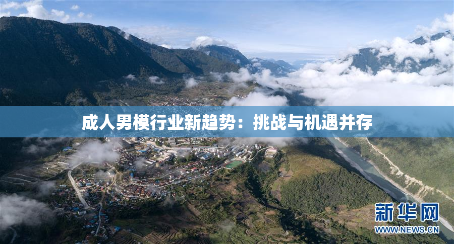 成人男模行业新趋势：挑战与机遇并存