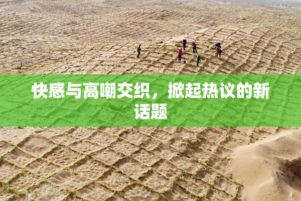 快感与高嘲交织，掀起热议的新话题