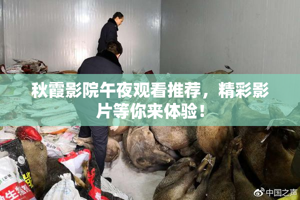 秋霞影院午夜观看推荐，精彩影片等你来体验！