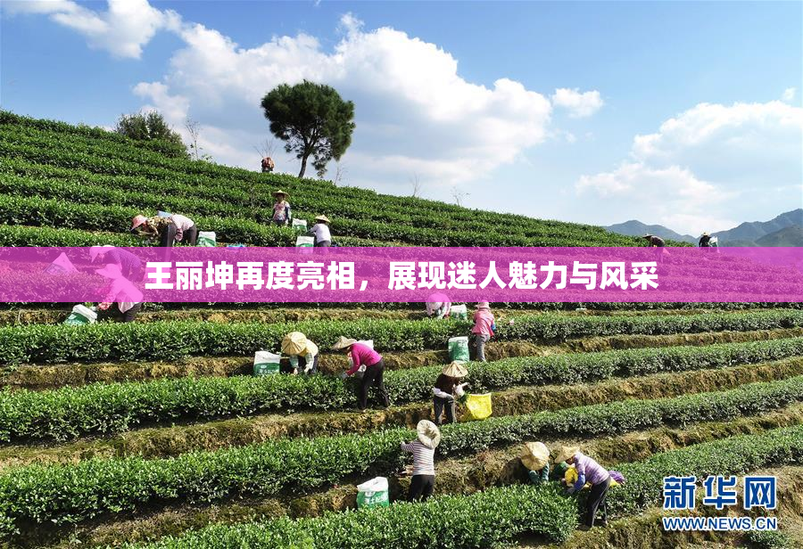 王丽坤再度亮相，展现迷人魅力与风采