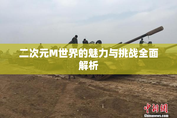 二次元M世界的魅力与挑战全面解析