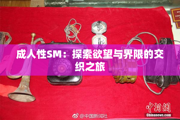 成人性SM：探索欲望与界限的交织之旅