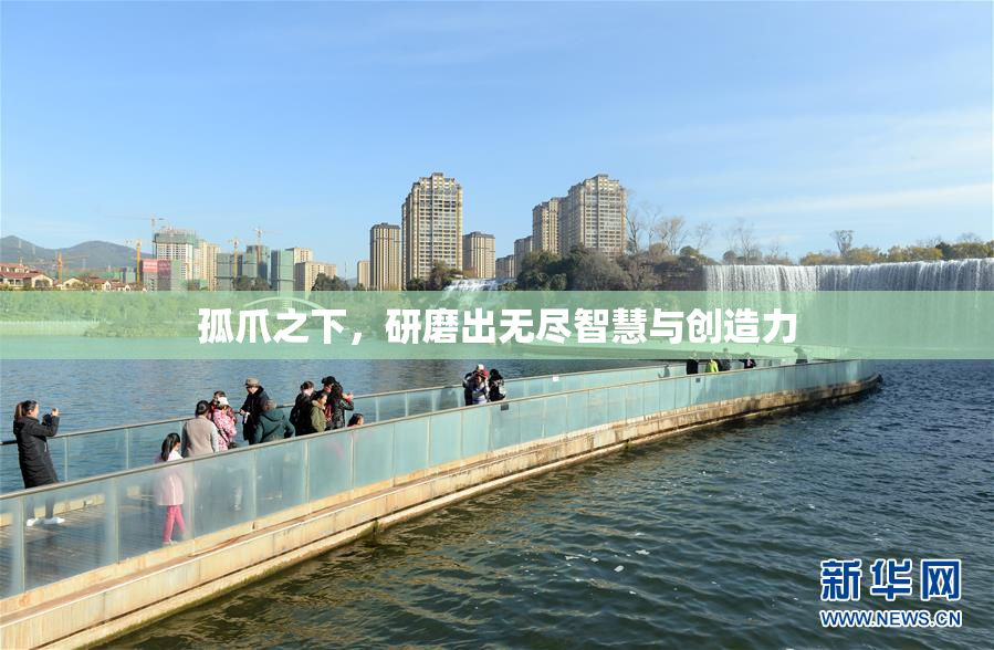 孤爪之下，研磨出无尽智慧与创造力