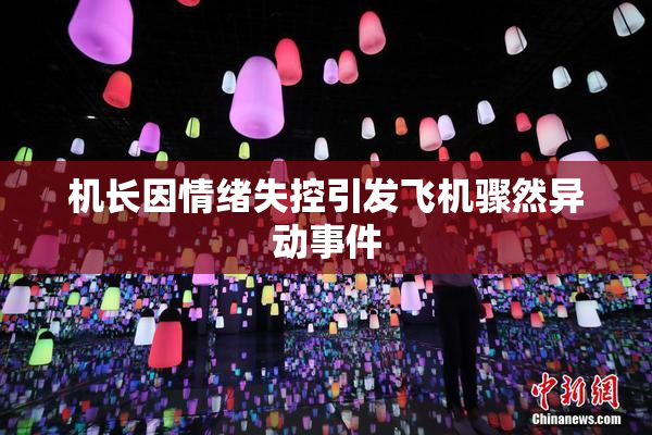 机长因情绪失控引发飞机骤然异动事件