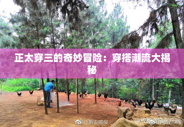正太穿三的奇妙冒险：穿搭潮流大揭秘