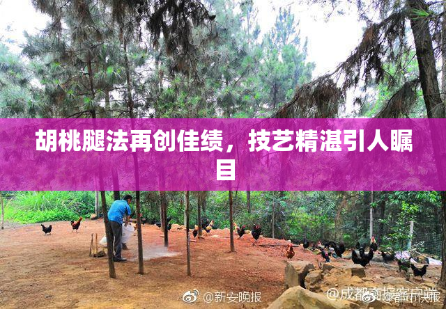 胡桃腿法再创佳绩，技艺精湛引人瞩目