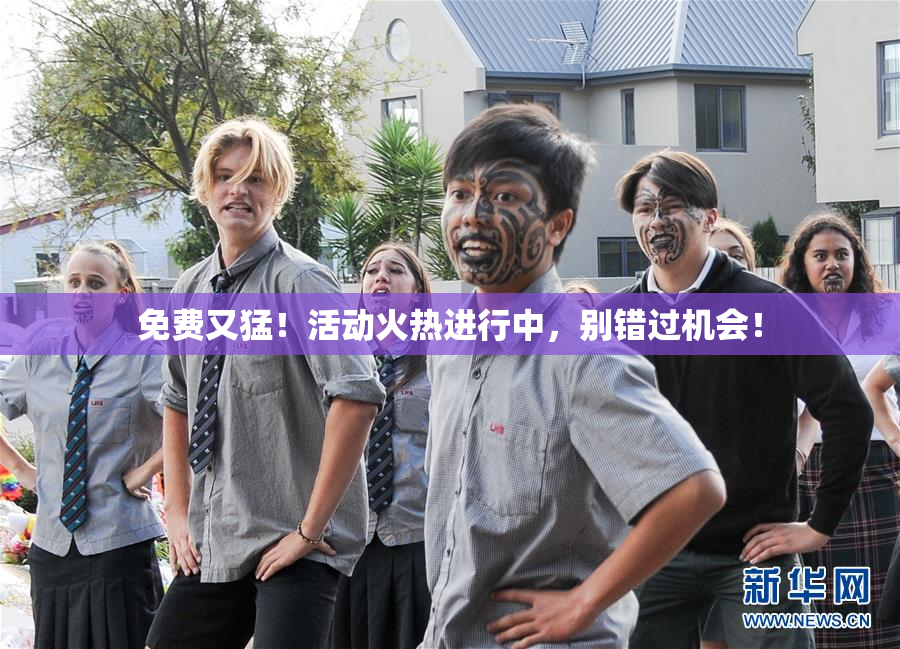 免费又猛！活动火热进行中，别错过机会！