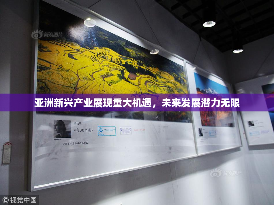 亚洲新兴产业展现重大机遇，未来发展潜力无限