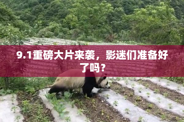 9.1重磅大片来袭，影迷们准备好了吗？