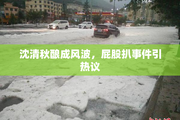 沈清秋酿成风波，屁股扒事件引热议