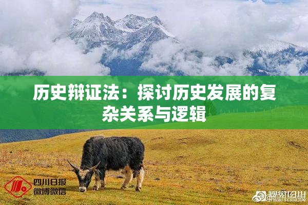 历史辩证法：探讨历史发展的复杂关系与逻辑