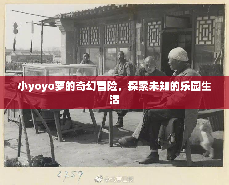 小yoyo萝的奇幻冒险，探索未知的乐园生活