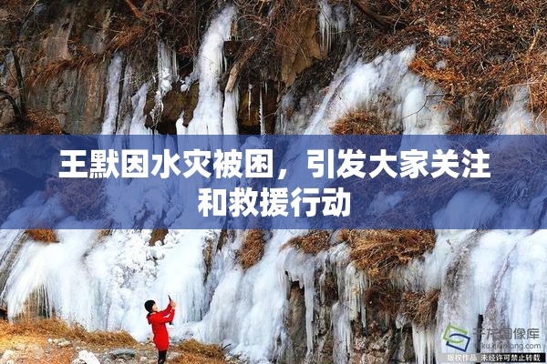 王默因水灾被困，引发大家关注和救援行动