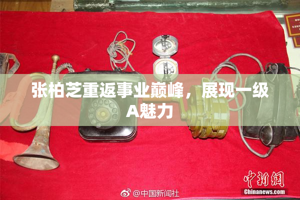 张柏芝重返事业巅峰，展现一级A魅力