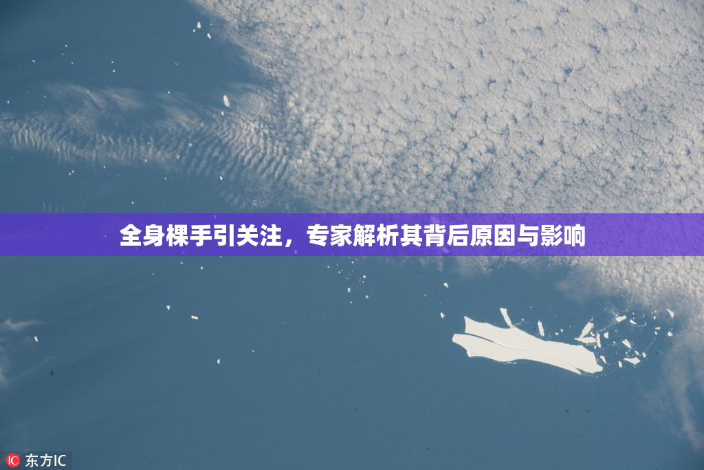 全身棵手引关注，专家解析其背后原因与影响