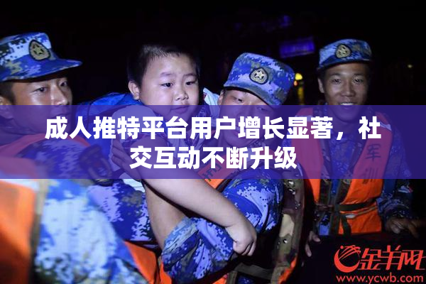 成人推特平台用户增长显著，社交互动不断升级
