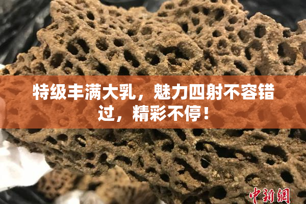 特级丰满大乳，魅力四射不容错过，精彩不停！