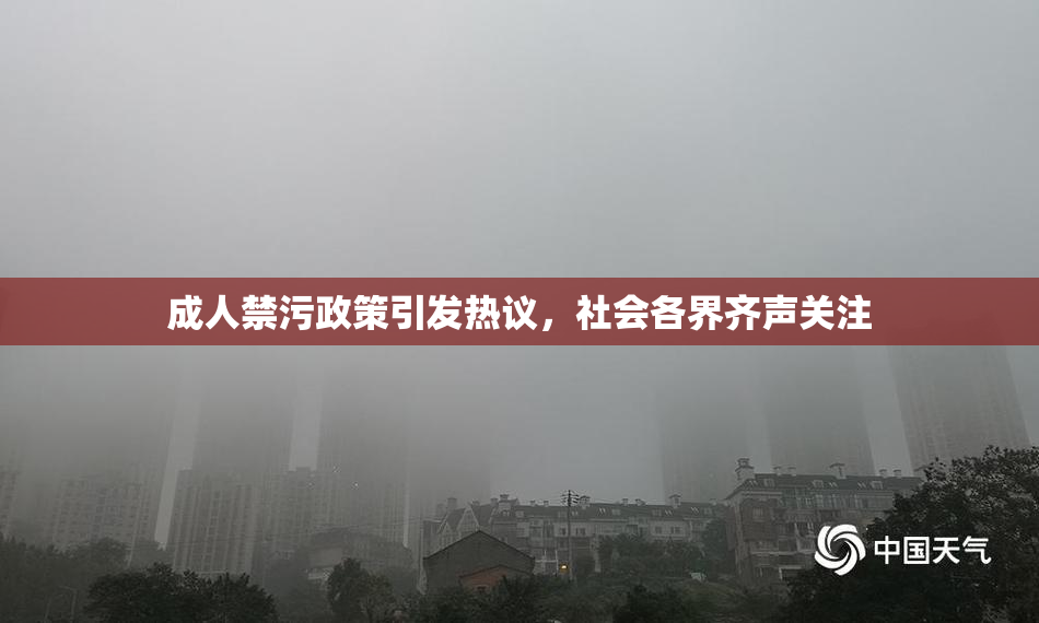 成人禁污政策引发热议，社会各界齐声关注