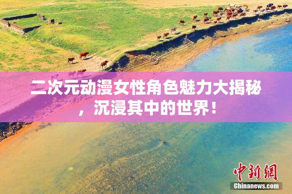二次元动漫女性角色魅力大揭秘，沉浸其中的世界！
