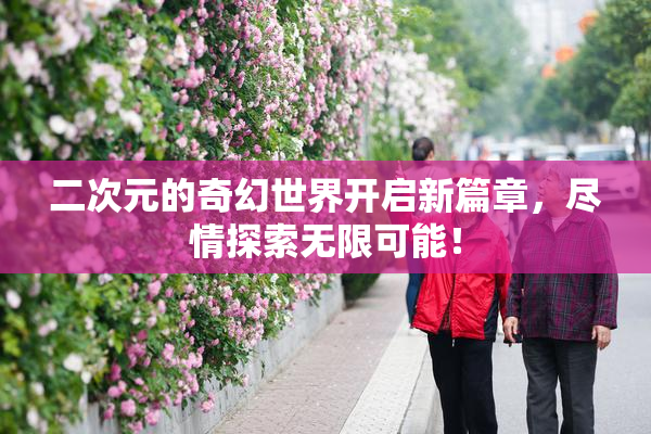 二次元的奇幻世界开启新篇章，尽情探索无限可能！