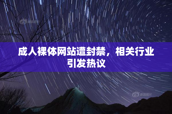 成人裸体网站遭封禁，相关行业引发热议