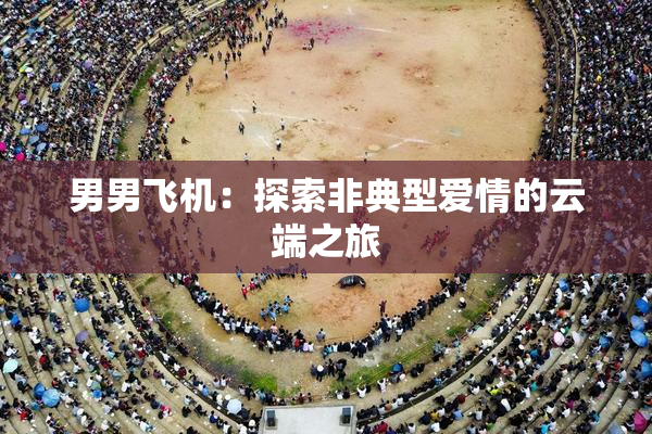 男男飞机：探索非典型爱情的云端之旅