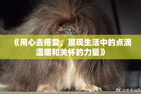 《用心去疼爱，展现生活中的点滴温暖和关怀的力量》