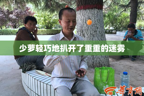 少萝轻巧地扒开了重重的迷雾