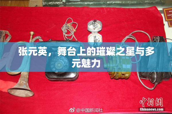 张元英，舞台上的璀璨之星与多元魅力