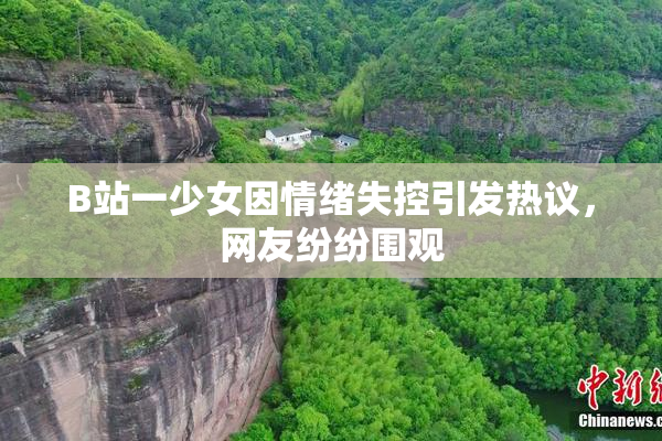 B站一少女因情绪失控引发热议，网友纷纷围观