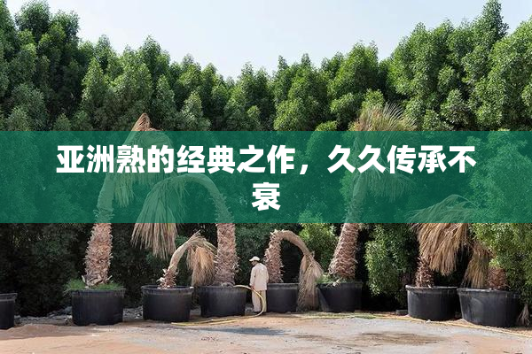 亚洲熟的经典之作，久久传承不衰