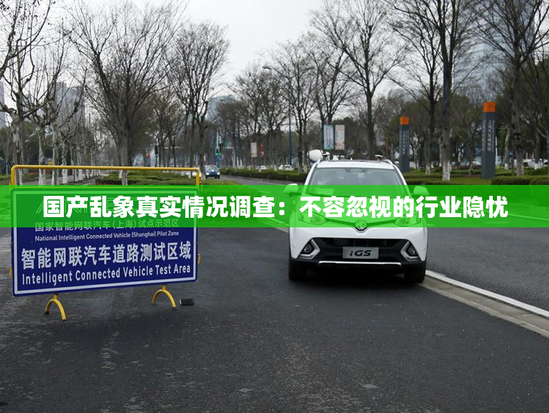 国产乱象真实情况调查：不容忽视的行业隐忧
