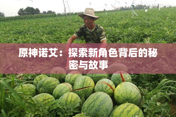 原神诺艾：探索新角色背后的秘密与故事