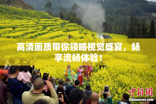 高清画质带你领略视觉盛宴，畅享流畅体验！