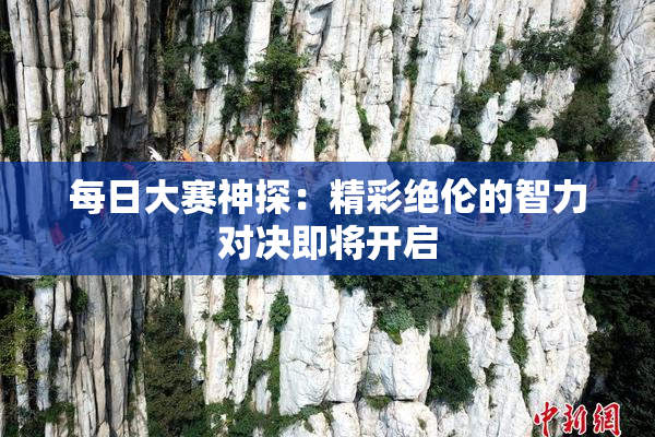 每日大赛神探：精彩绝伦的智力对决即将开启